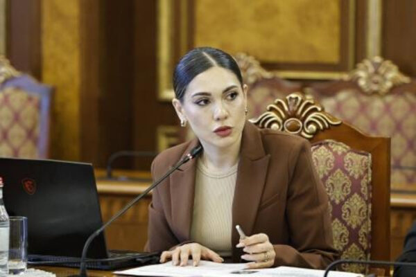 Նոր Սահմանադրության տեքստում անհավանական անակնկալներ են սպասվում